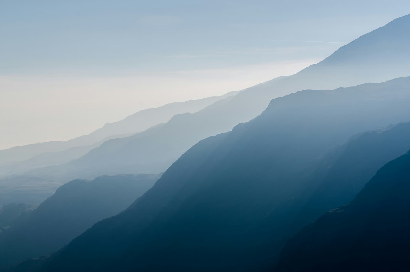 BPBIO 320S background